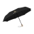 Michigan opvouwbare RPET paraplu 21 inch zwart